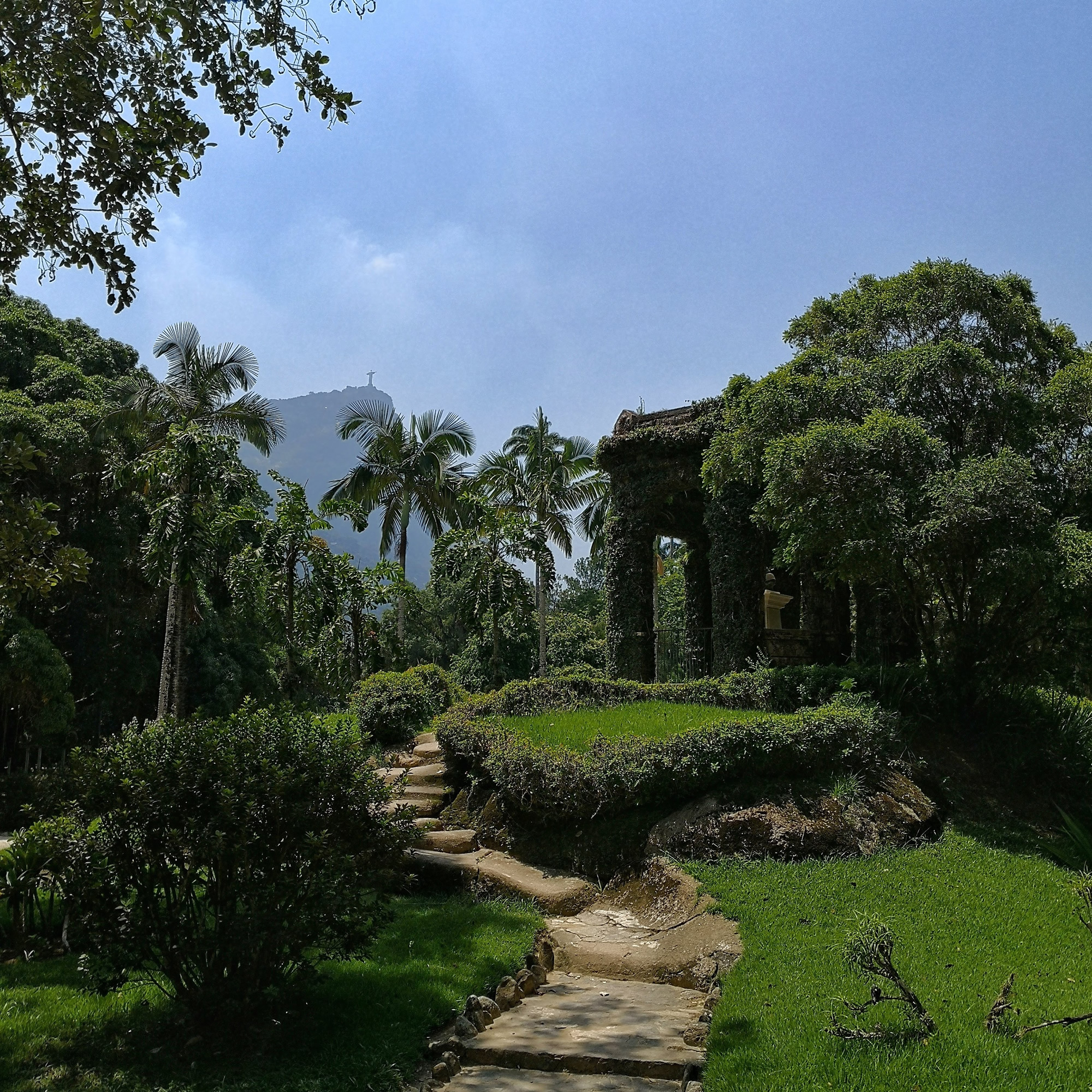 Brazília – Rio de Janeiro, Jardim Botânico, háttérben a Megváltó Krisztus szobra (fotó: rigotamas.hu)